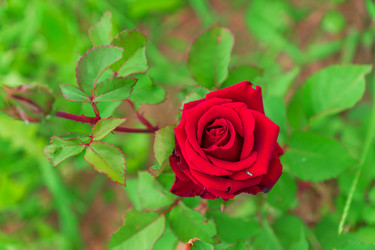 Similar image 21166131