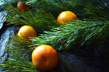 Similar image 21141881