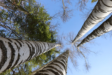 Similar image 21150238