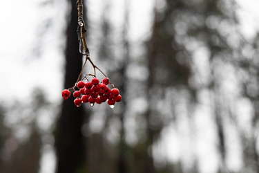 Similar image 21150239