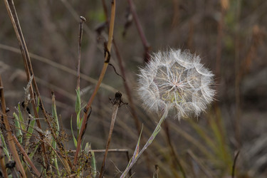 Similar image 21150240