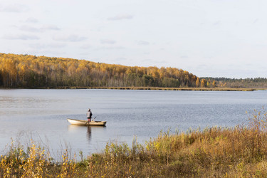 Similar image 21150241