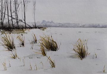 Similar image 21150242