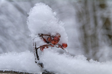 Similar image 21139253