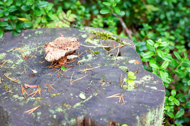 Similar image 21147404