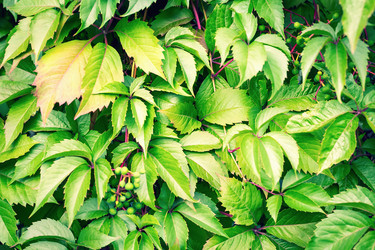 Similar image 21147647