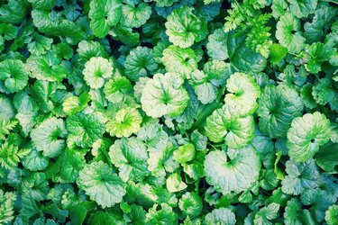 Similar image 21147649