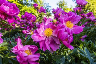 Similar image 21142885