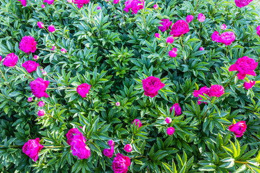 Similar image 21142888