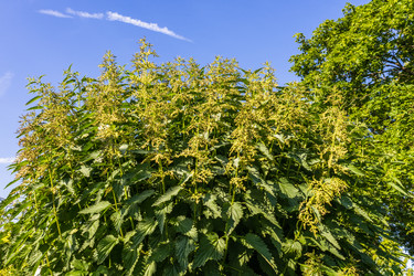 Similar image 21142893