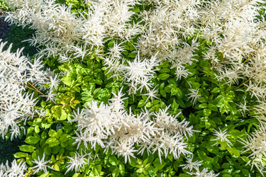 Similar image 21142895