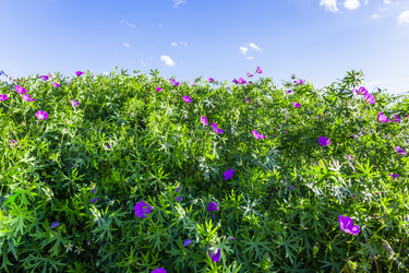 Similar image 21142897