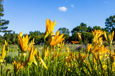 Similar image 21142900