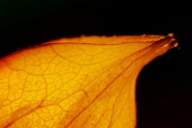 Similar image 21139590