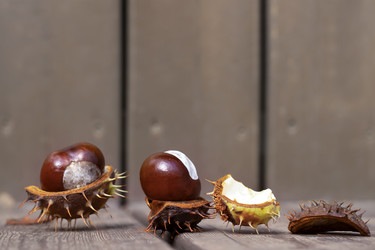 Similar image 21139596