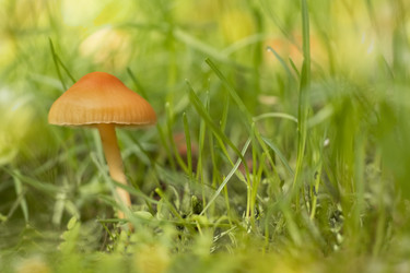 Similar image 21139598