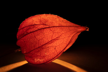 Similar image 21139604