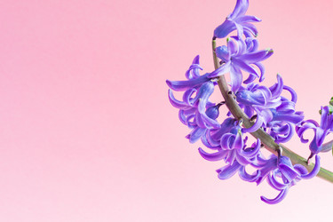 Similar image 21165162