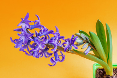 Similar image 21165163