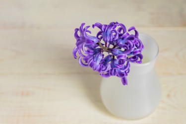 Similar image 21165170