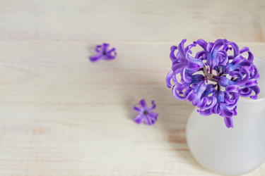 Similar image 21165171