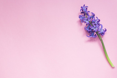 Similar image 21165177