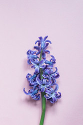 Similar image 21165179