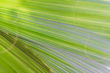 Similar image 21165182