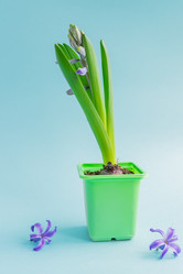 Similar image 21165184