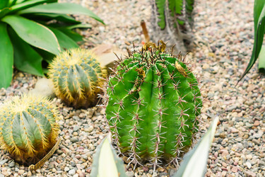 Similar image 21165471