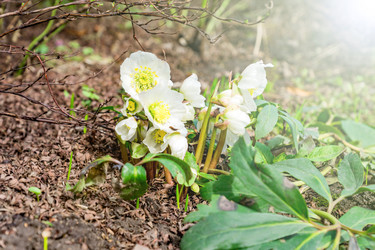 Similar image 21165473