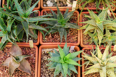 Similar image 21165482