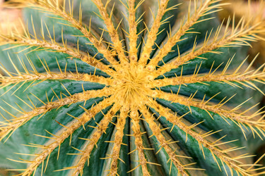 Similar image 21165483