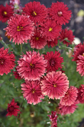 Similar image 21139608