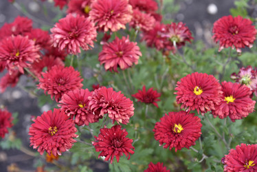 Similar image 21139609