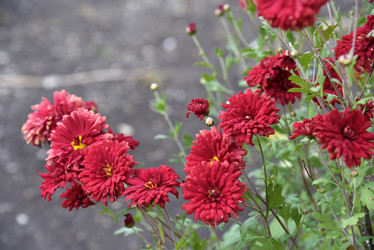 Similar image 21139610