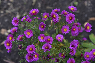 Similar image 21139616