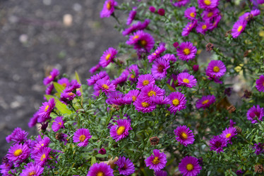 Similar image 21139617