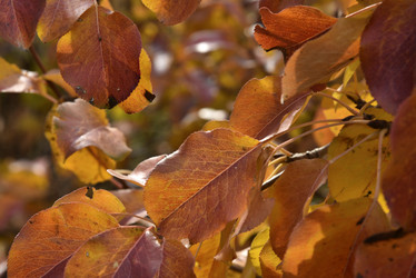 Similar image 21139618