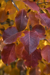 Similar image 21139619