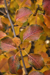 Similar image 21139620