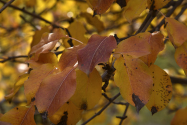 Similar image 21139621