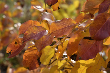 Similar image 21139622