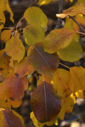 Similar image 21139623