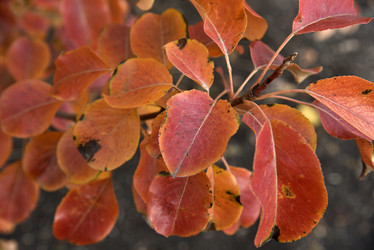 Similar image 21139624