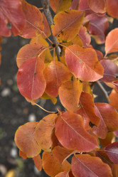 Similar image 21139625