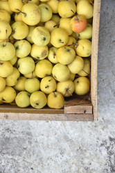 Similar image 21139635