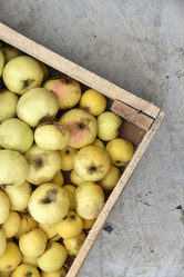 Similar image 21139637