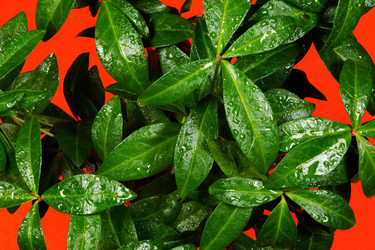 Similar image 21139638