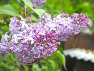 Similar image 21141895